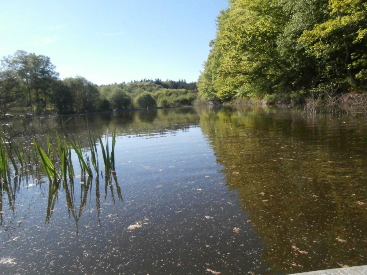 Le Crusoe A L'Etang D'Anty - Appartement Saint-Nabord Εξωτερικό φωτογραφία